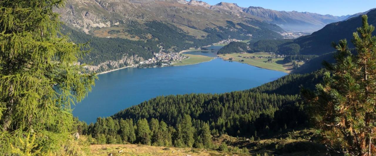Albana Hotel Silvaplana Kültér fotó